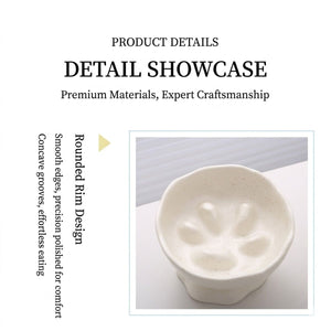 Ceramic Pedestal Slow Feeder Bowl for Pets