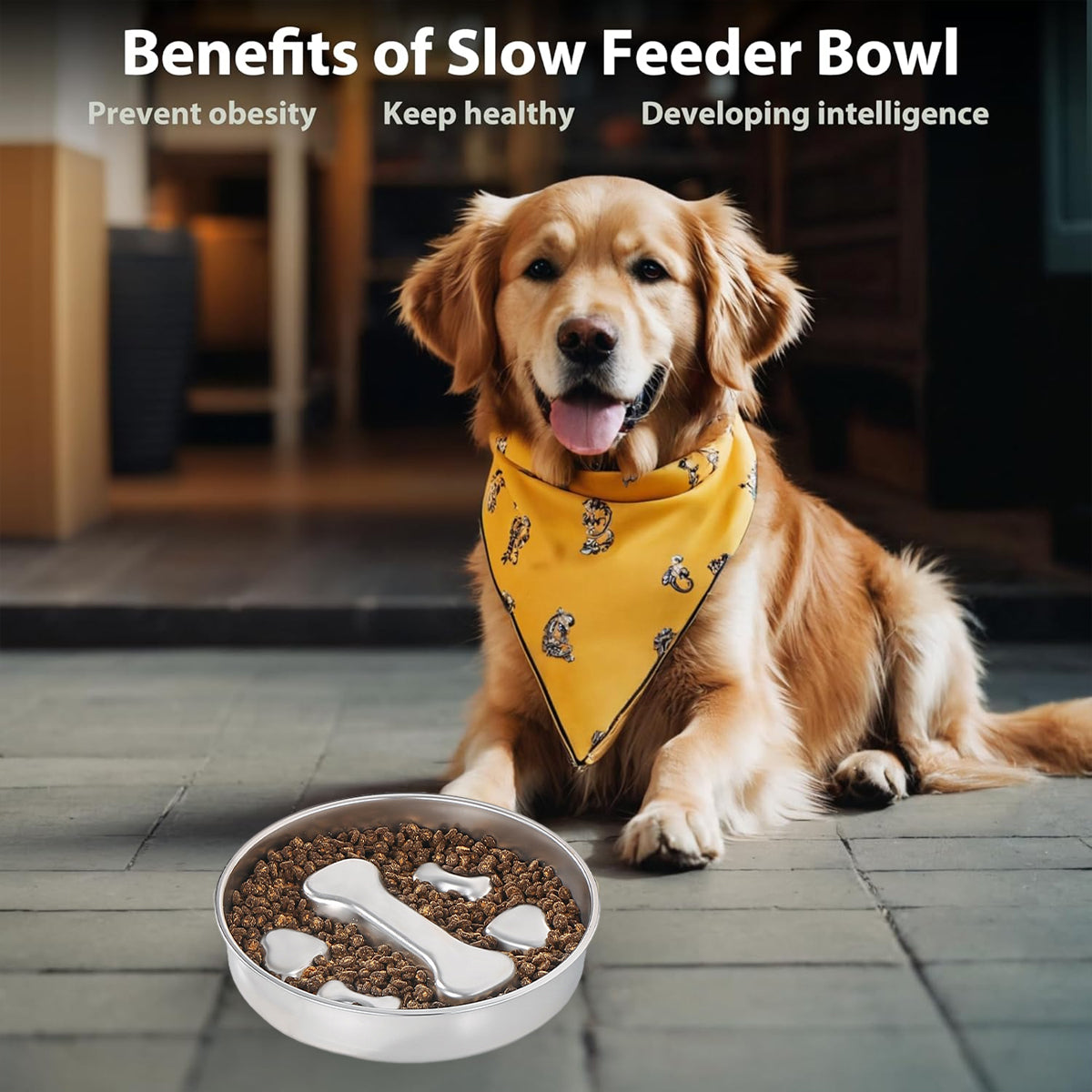 Stainless Steel Slow Feeder Bowl Anti-Choke Pet Feeding Dish