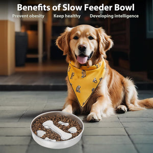 Stainless Steel Slow Feeder Bowl Anti-Choke Pet Feeding Dish