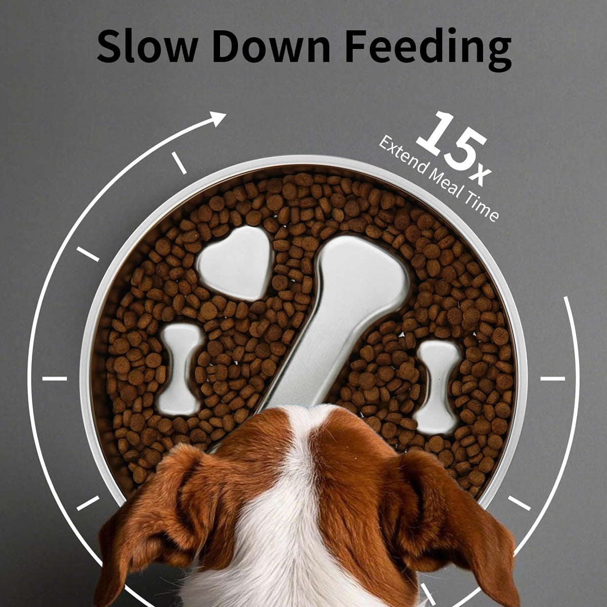 Stainless Steel Slow Feeder Bowl Anti-Choke Pet Feeding Dish