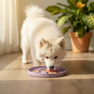 Purple Silicone Slow Feeder Mat for Pets