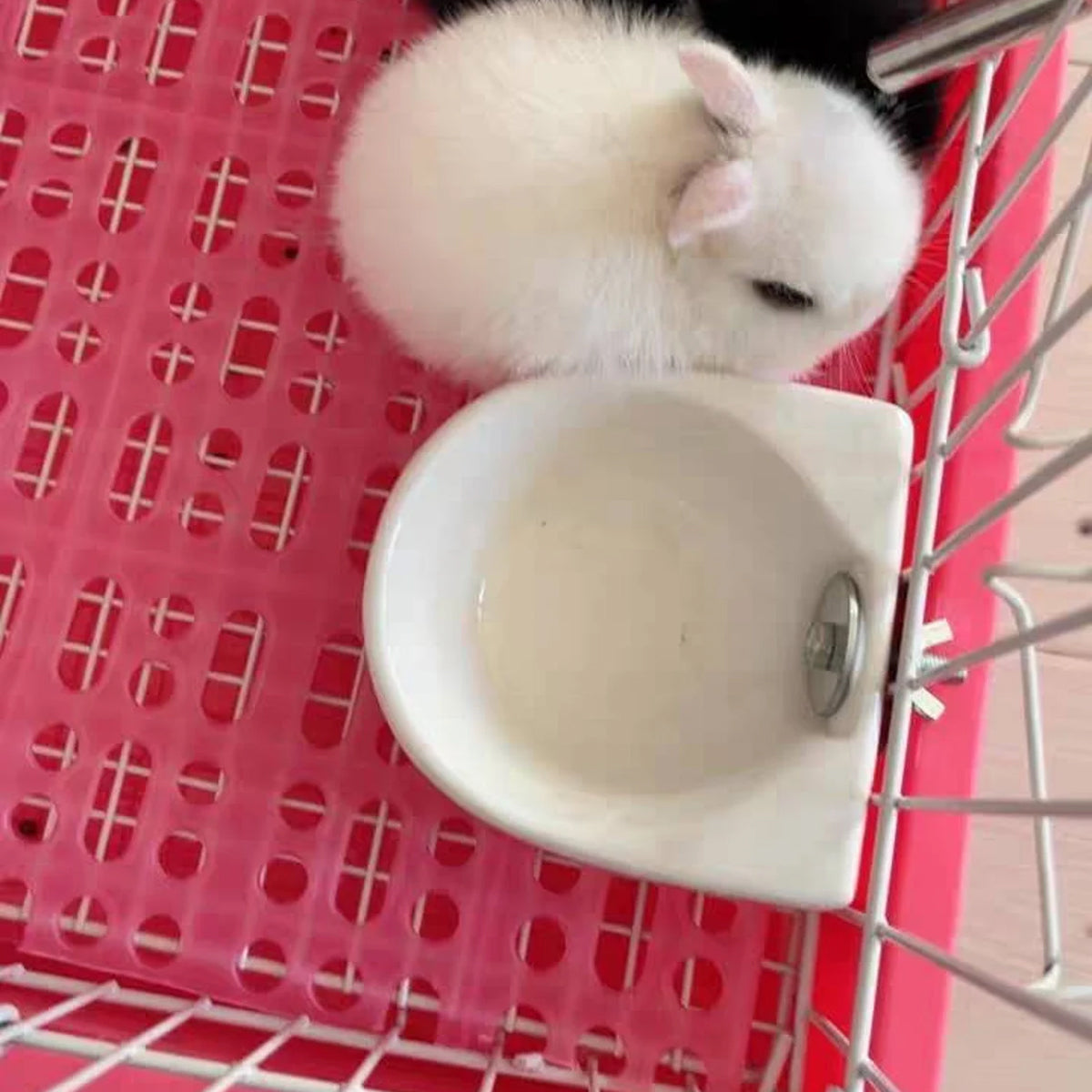 Hanging Pet Ceramic Bowl