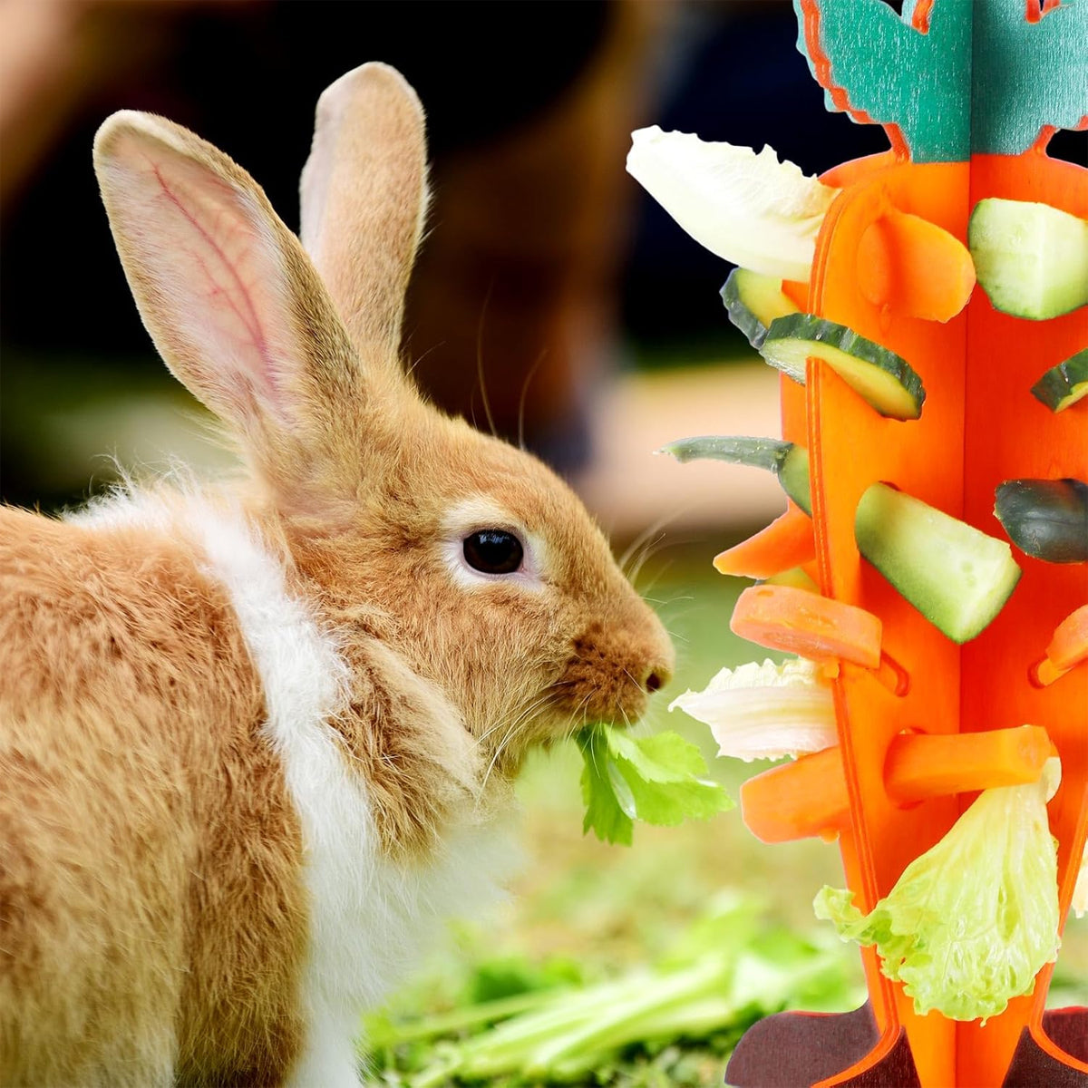 Wooden Small Pet Food Dispenser Carrot Shape