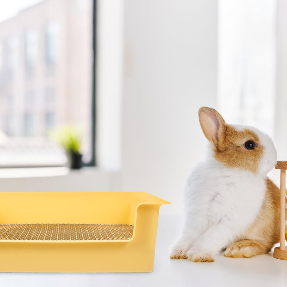 Hygienic Cage Setup with Stainless Grid Rabbit Litter Box