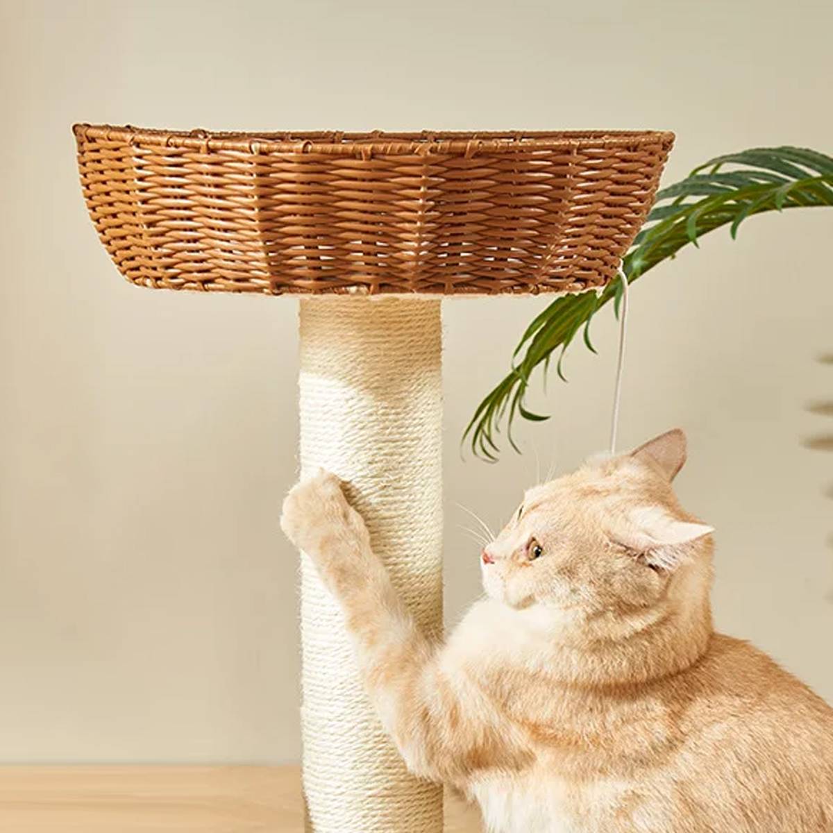 Wood Cat Climbing Frame With Rattan Beds