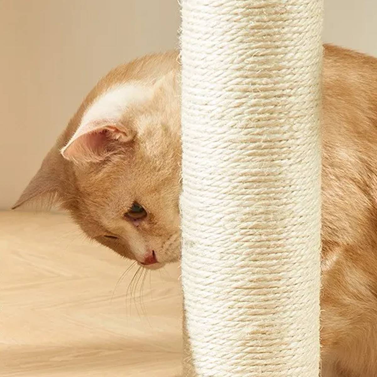 Wood Cat Climbing Frame With Rattan Beds