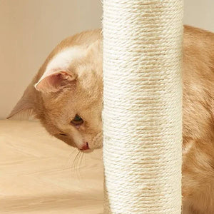 Wood Cat Climbing Frame With Rattan Beds