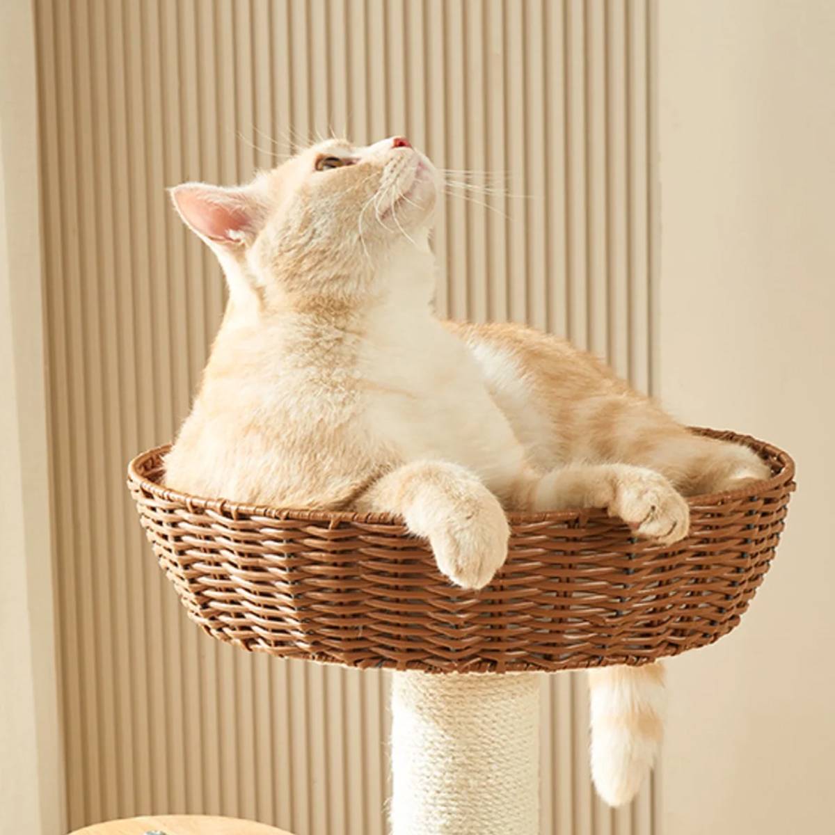 Wood Cat Climbing Frame With Rattan Beds