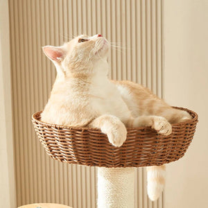 Wood Cat Climbing Frame With Rattan Beds