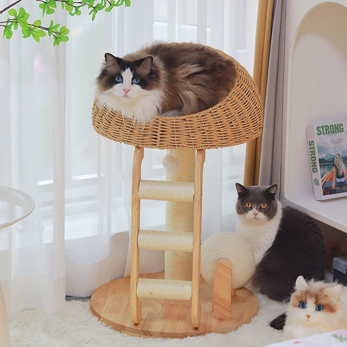Solid Wood Cat Tree With Sisal Scratching Posts
