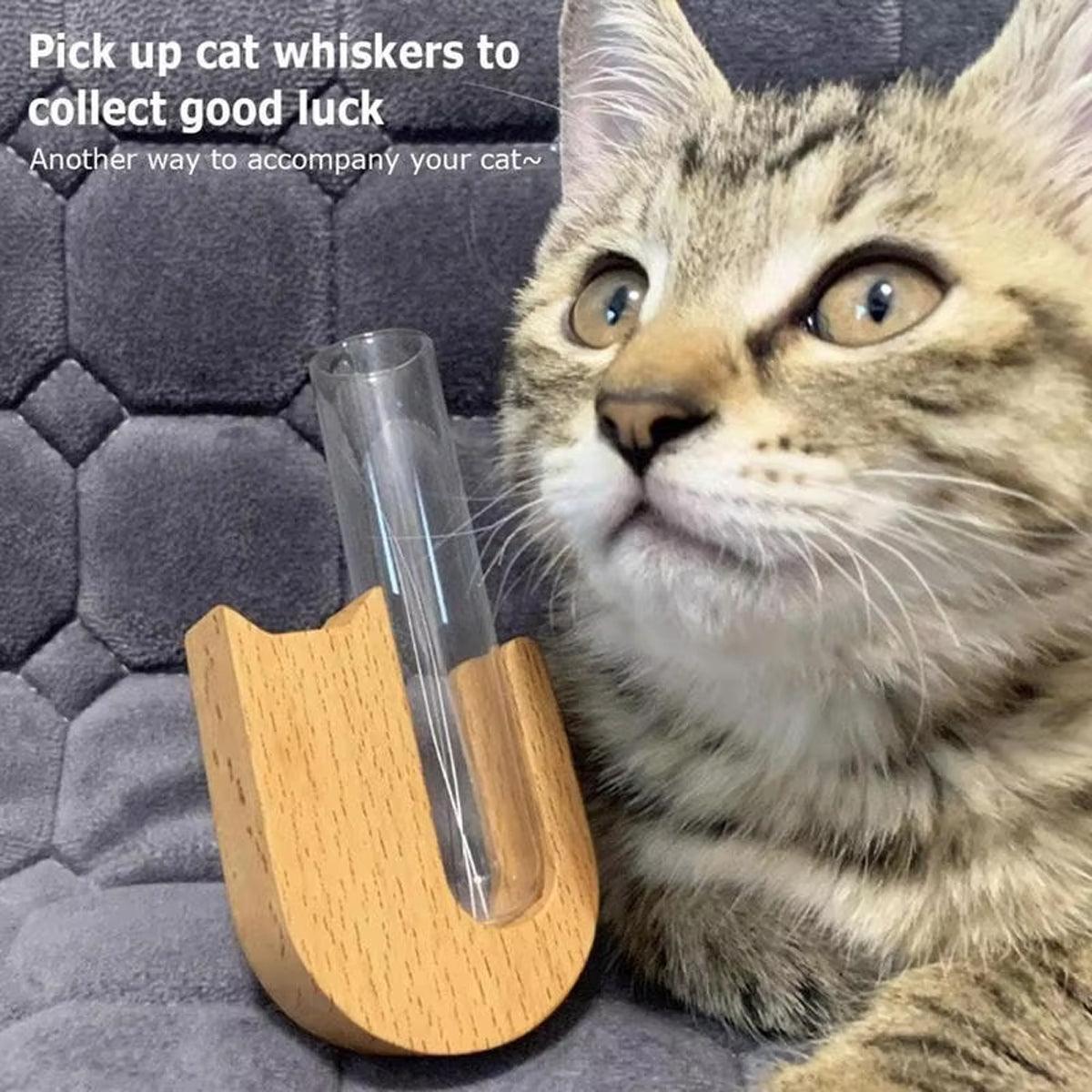 Pet Hair Memorial Box Fridge Magnet Keepsake Whisker Collector Storage Case