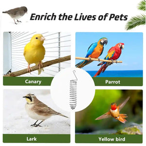 Stainless Steel Spiral Bird Feeder