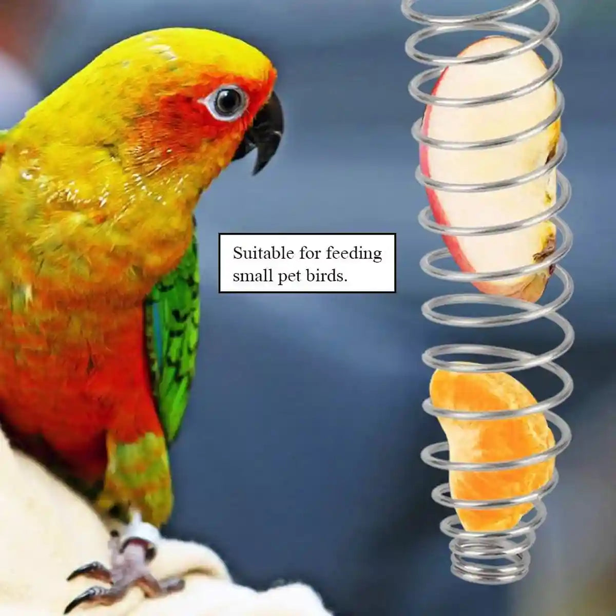 Stainless Steel Spiral Bird Feeder