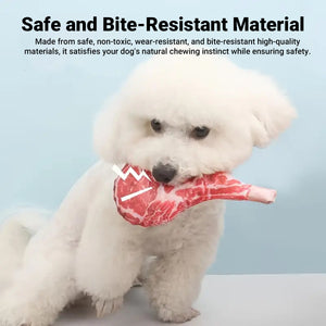 Steak Dog Chew Toy