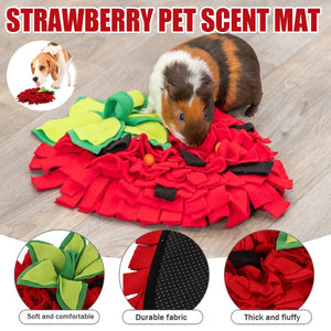 Strawberry Snuffle Mat For Dogs
