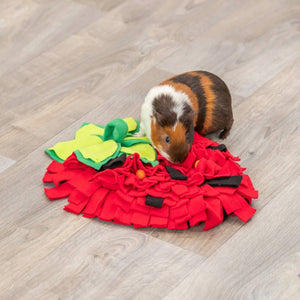 Strawberry Snuffle Mat For Dogs