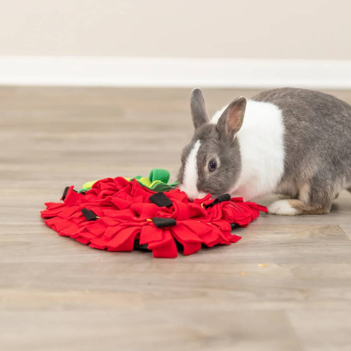 Strawberry Snuffle Mat For Dogs