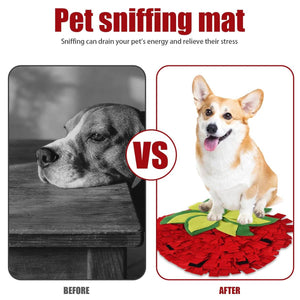 Strawberry Snuffle Mat For Dogs