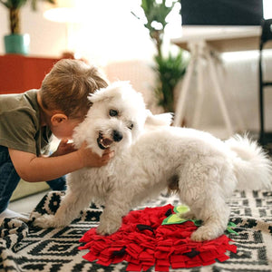 Strawberry Snuffle Mat For Dogs