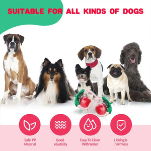 Strawberry Squeaky Dog Toy Durable Chew Toy for Interactive Play