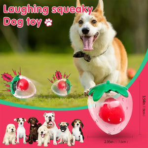Strawberry Squeaky Dog Toy Durable Chew Toy for Interactive Play