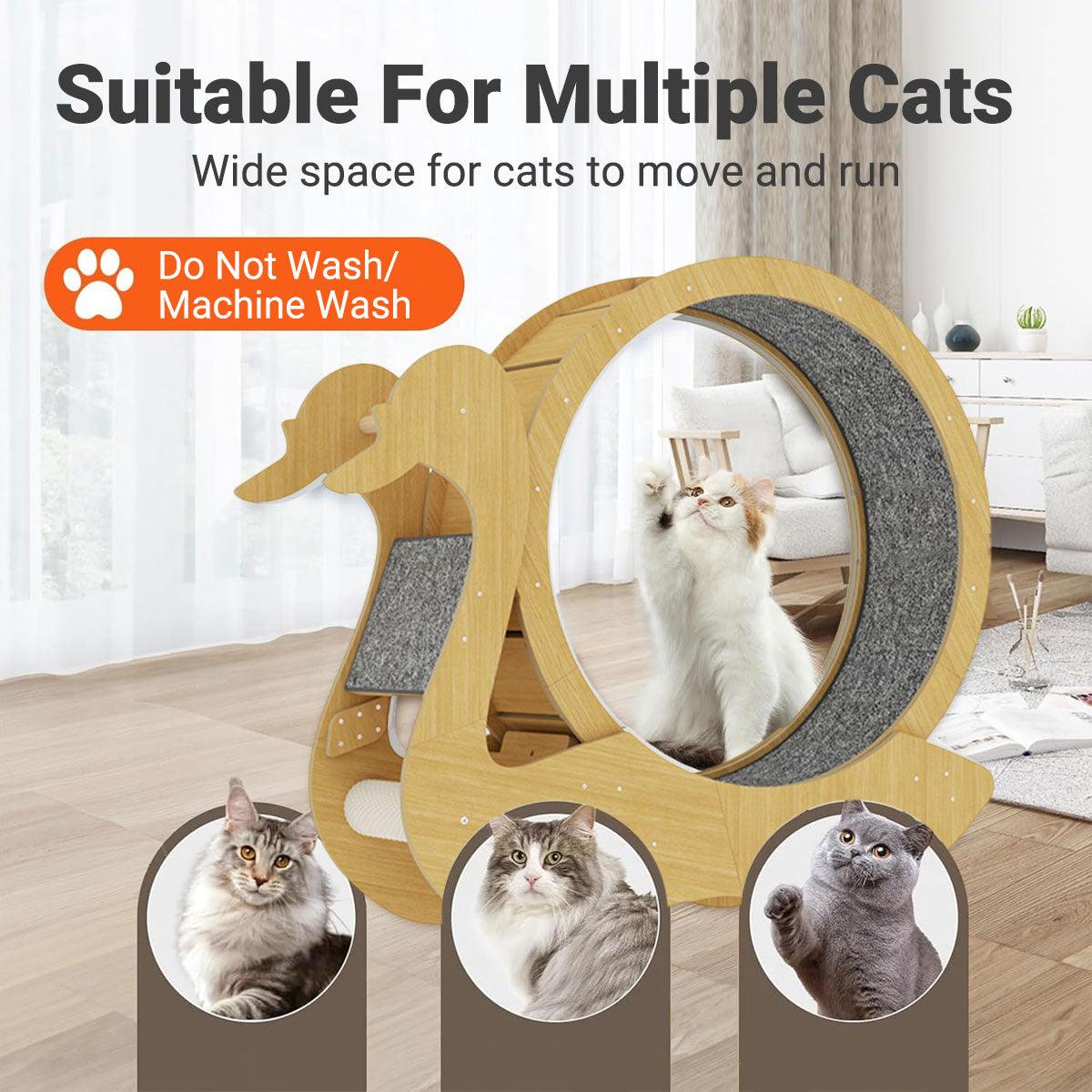 Spacious Wooden Cat Treadmill with Scratch Pad & Quiet Rollers