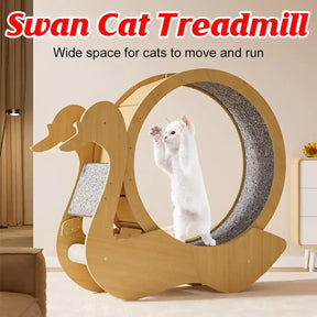 Wooden cat treadmill with a built-in scratching post and silent rollers for smooth and quiet operation.