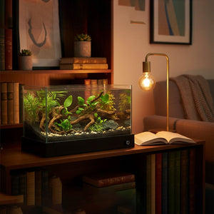 30cm Glass Reptile Tank with Drain Control