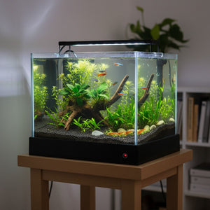 30cm Glass Reptile Tank with Drain Control