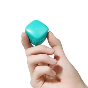 Magnetic Aquarium Cleaner - Mini Fish Tank Glass Brush