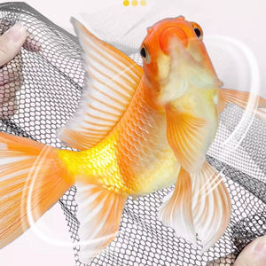 Fish Tank Cover Anti-Jump Net with Magnetic Mount (40 x 60 cm)