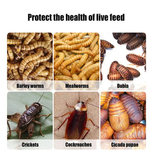 Anti-Escape Insect Breeding Box with Drawer