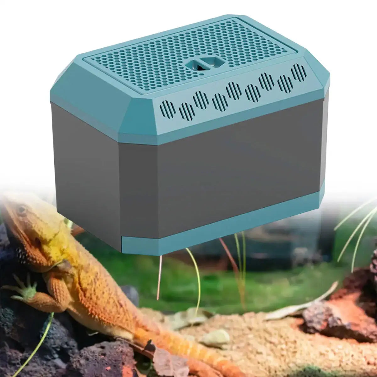 Anti-Escape Insect Breeding Box with Drawer
