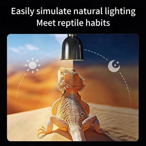 Reptile Lamp Shade Timer - Cleen Turtle Drying Backlight (A/B/C)