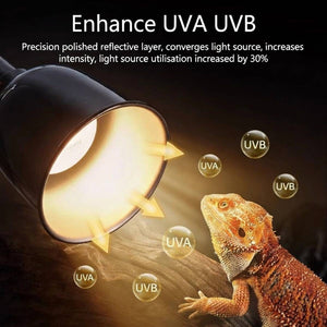 Reptile Lamp Shade Timer - Cleen Turtle Drying Backlight (A/B/C)