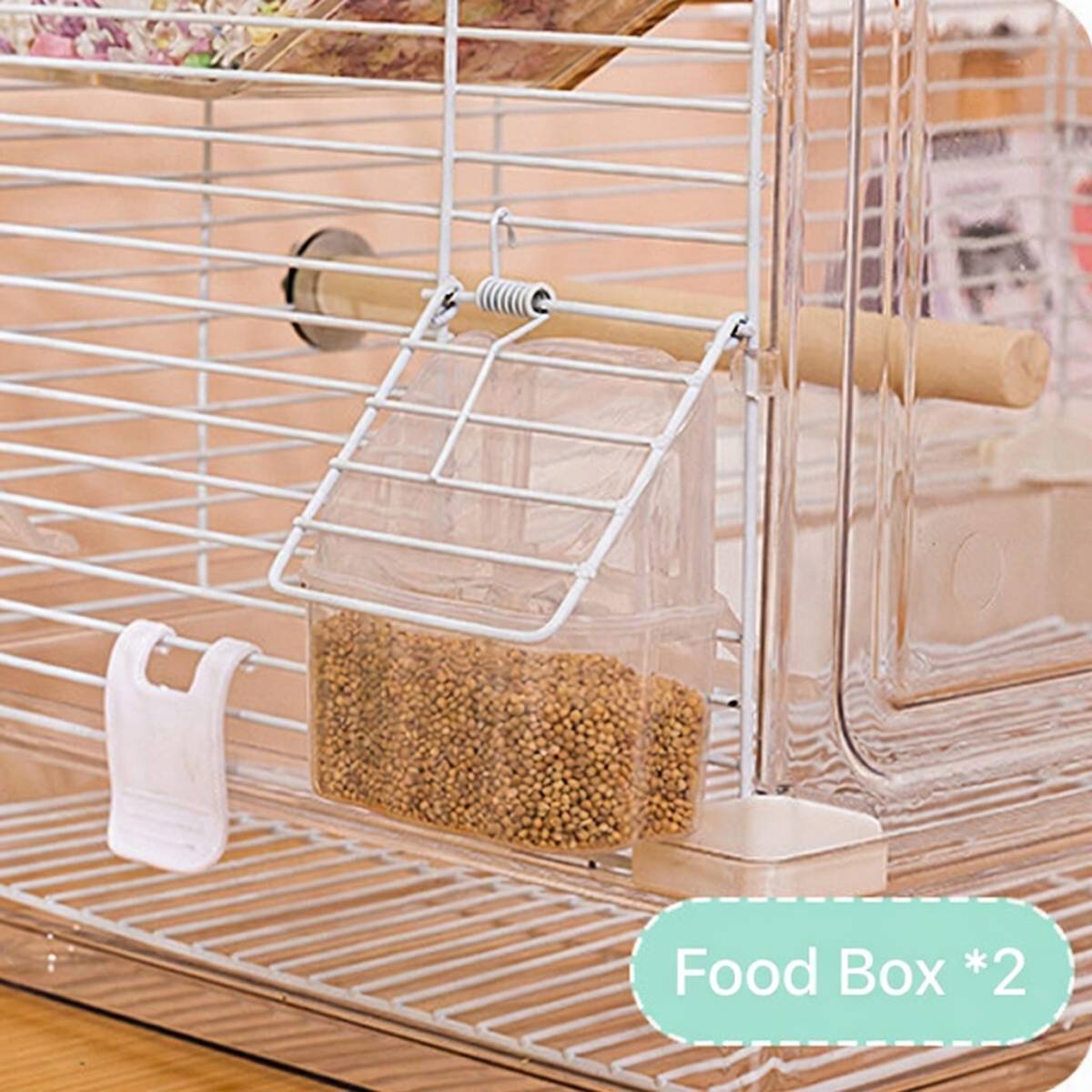 Transparent Bird Cage with Perches & Feeders | Clear Aviary for Small Birds