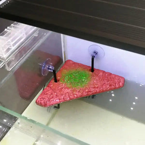 Pet Turtle Sunning Platform For Deep Water Tanks