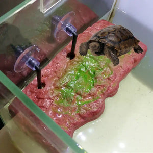 Pet Turtle Sunning Platform For Deep Water Tanks