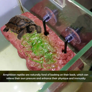 Pet Turtle Sunning Platform For Deep Water Tanks