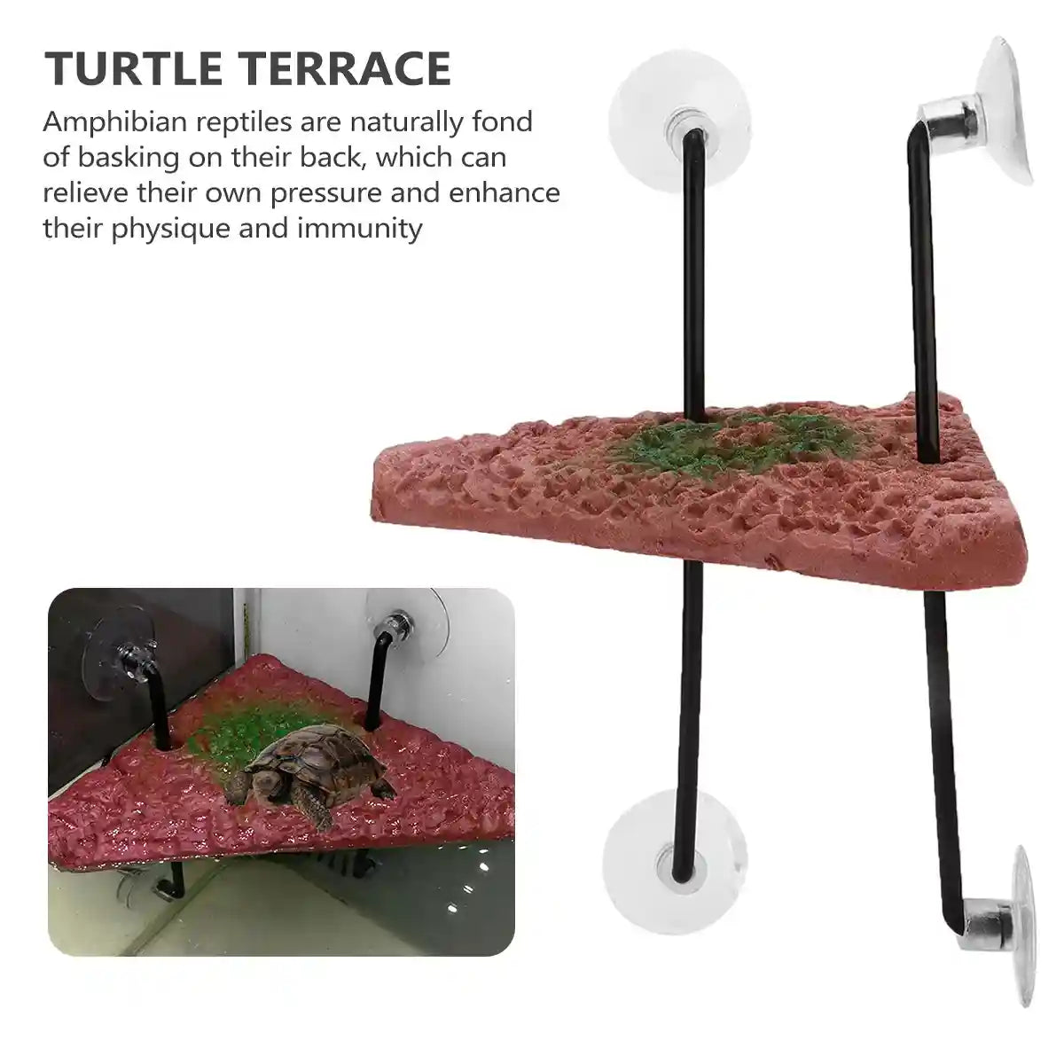Pet Turtle Sunning Platform For Deep Water Tanks