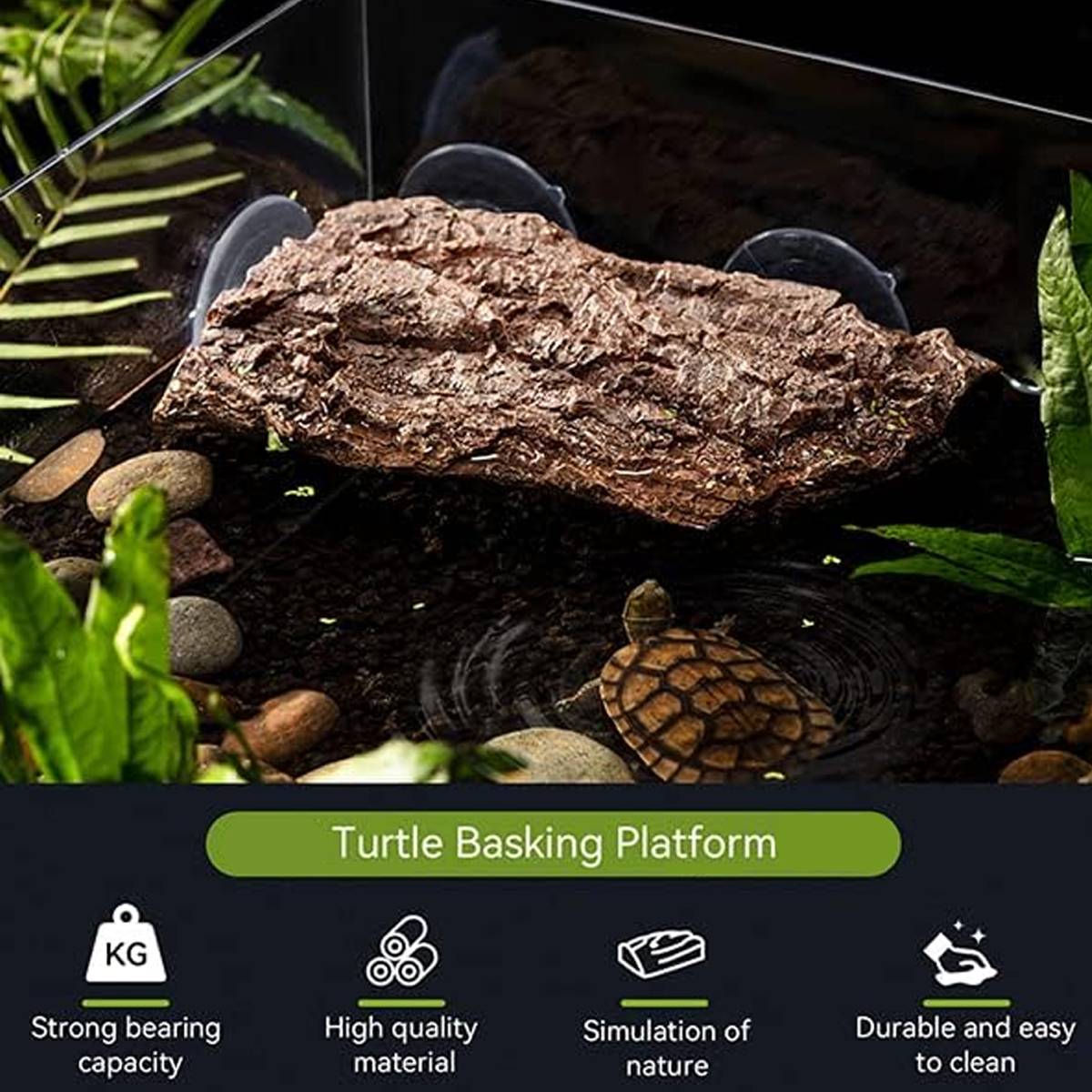 Turtle Basking Terrace - Tortoise Climbing Platform with Ramp
