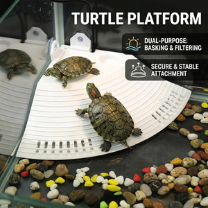 Corner Turtle Basking Platform with Suction Cups & Climbing Ramp