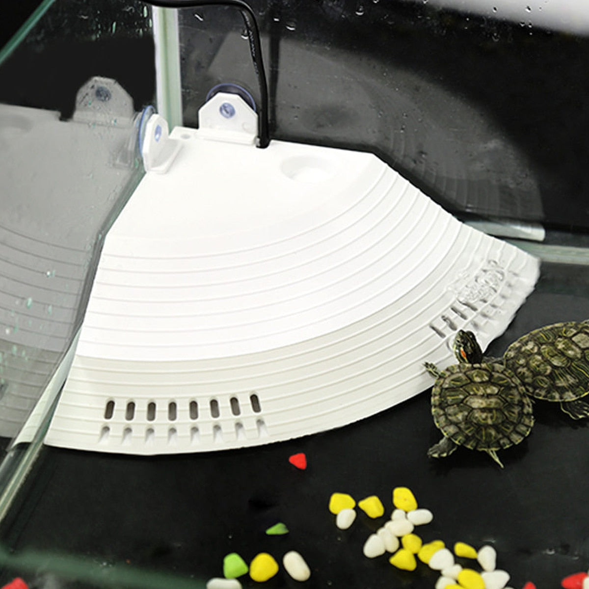 Corner Turtle Basking Platform with Suction Cups & Climbing Ramp