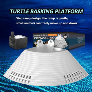 Corner Turtle Basking Platform with Suction Cups & Climbing Ramp