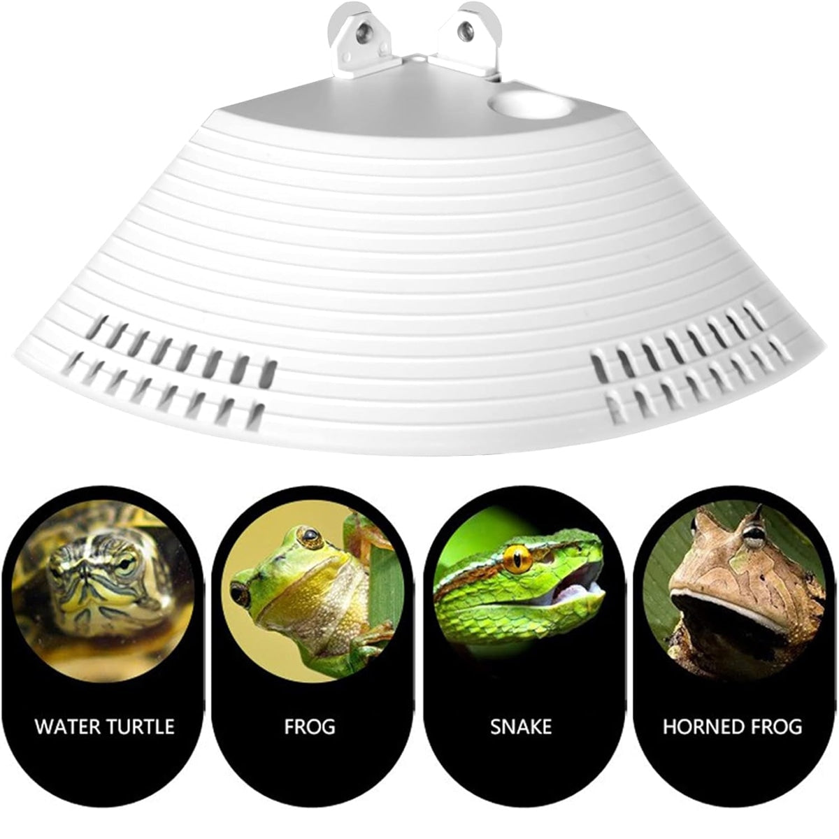 Corner Turtle Basking Platform with Suction Cups & Climbing Ramp