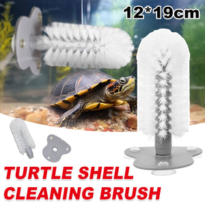 Turtle Shell Cleaning Brush