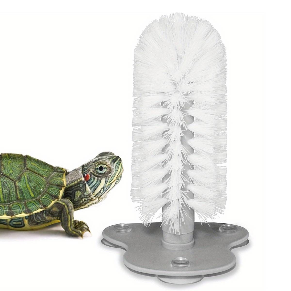 Turtle Shell Cleaning Brush