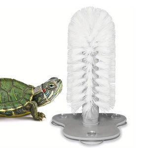 Turtle Shell Cleaning Brush