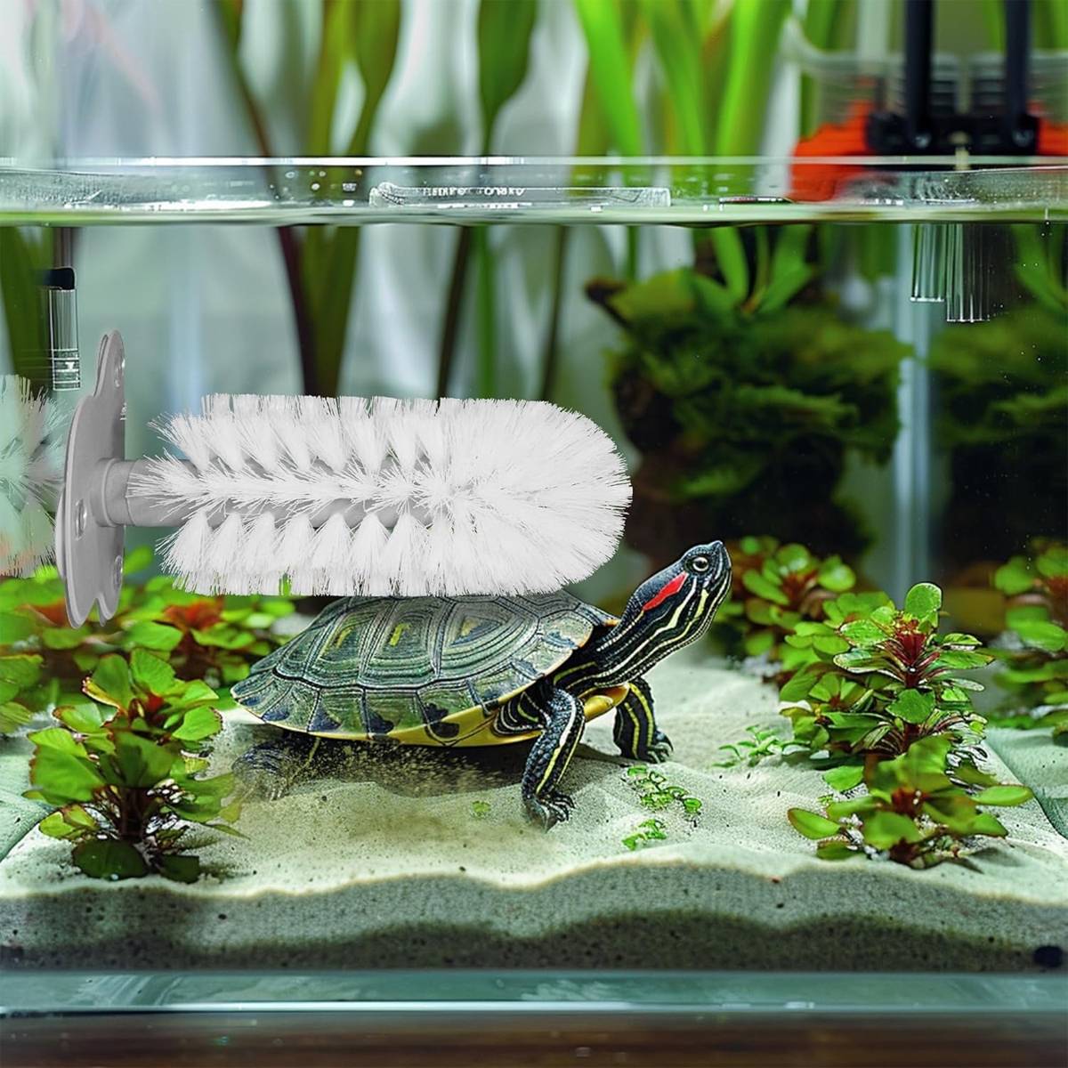 Turtle Shell Cleaning Brush