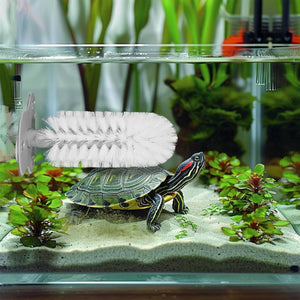 Turtle Shell Cleaning Brush